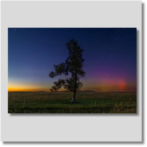 Blue Hour Light