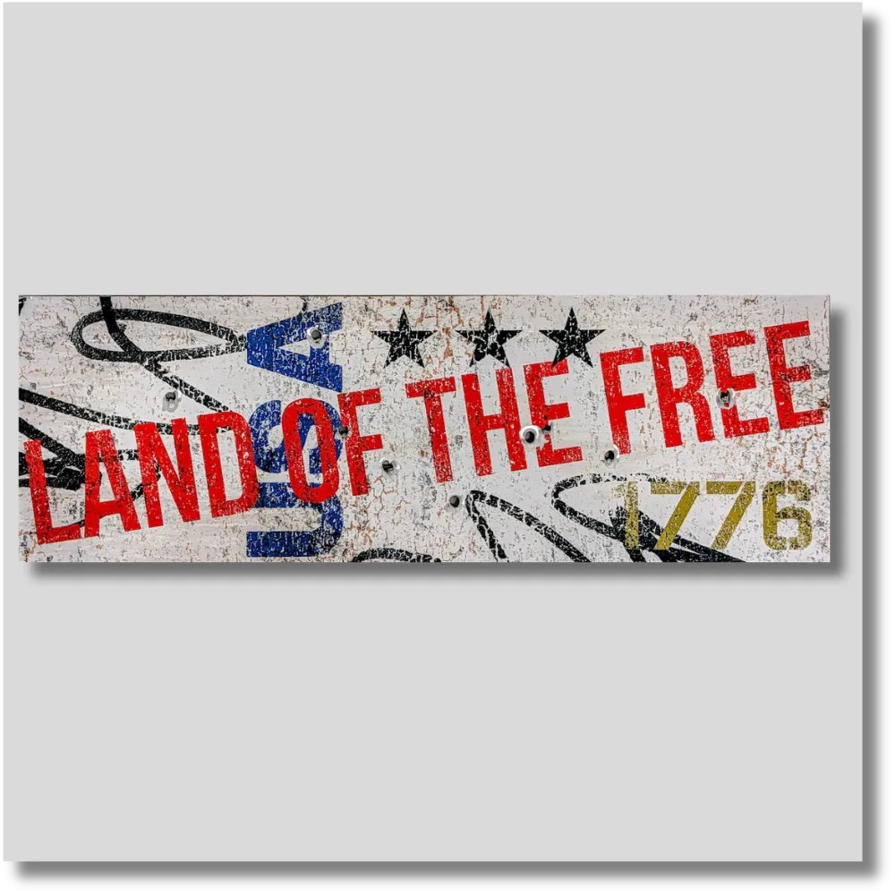 Land of the Free patriotic metal wall art